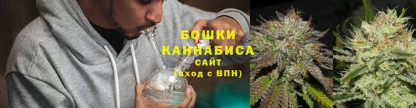 метадон Богданович