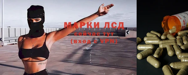 метадон Богданович
