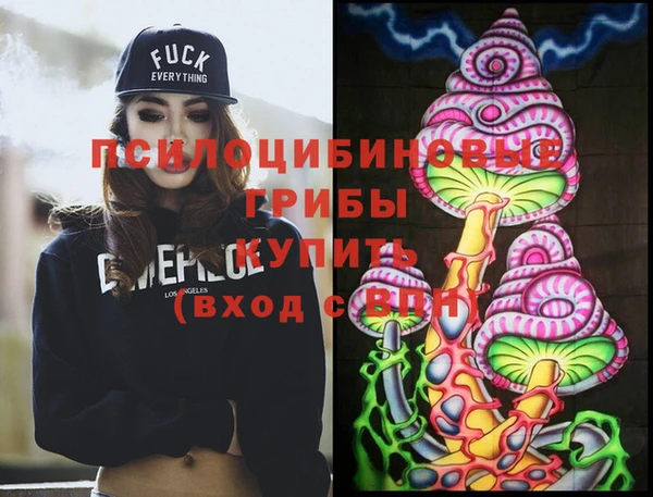 метадон Богданович