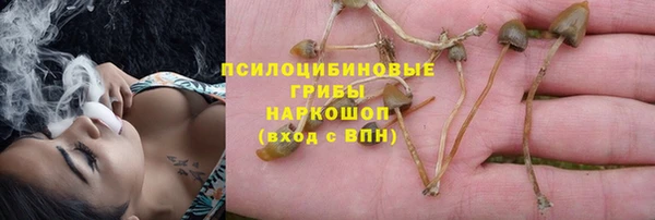 метадон Богданович