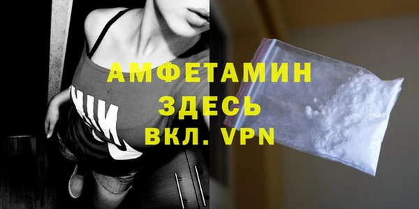 метадон Богданович