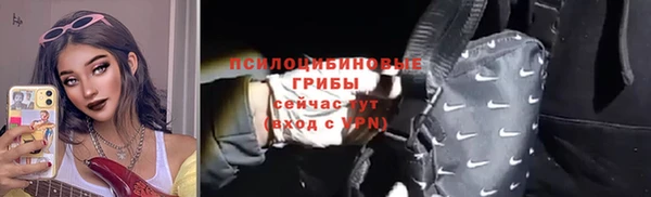 гашик Богородицк