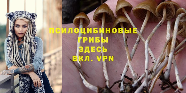 гашик Богородицк
