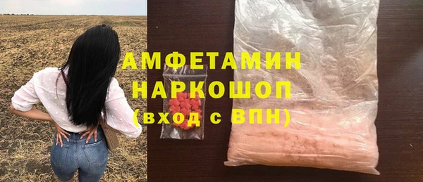 гашик Богородск