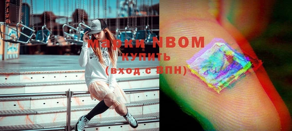 метадон Богданович