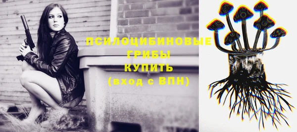 метадон Богданович