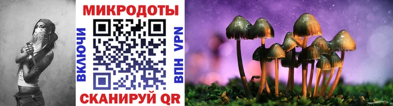 Псилоцибиновые грибы GOLDEN TEACHER Горно-Алтайск