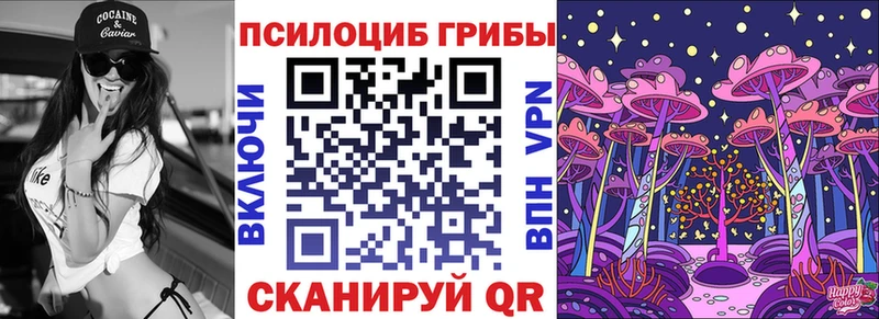 Псилоцибиновые грибы Cubensis Горно-Алтайск